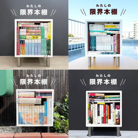 2025年に人気だった「限界本棚」５選