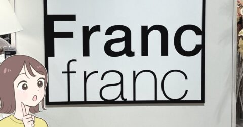 「真冬のディズニーで大活躍！」フランフランの“繰り返し使えるカイロ”マカロンみたいな形が可愛い！「思っていた以上に温かい」「両ポケットに分けて入れられる」 – これ、買ってよかった！