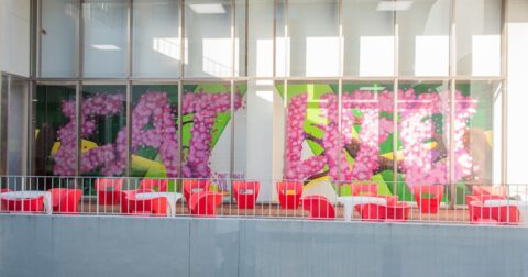 受験生必読！「偏差値なき時代」に選ばれる大学に必須の条件とは何か – 中学受験のkeyperson