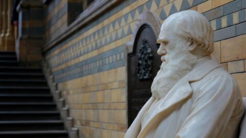 実は悪食…ダーウィンの｢因果応報｣な”死の原因” | リーダーシップ・教養・資格・スキル | 東洋経済オンライン