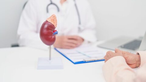 20歳から衰え始める｢腎臓寿命｣をのばす簡単方法【再配信】 | 健康 | 東洋経済オンライン