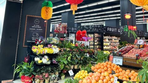 ｢マレーシア教育移住｣驚きの”生活コスト”の実態 | 教育 | 東洋経済オンライン