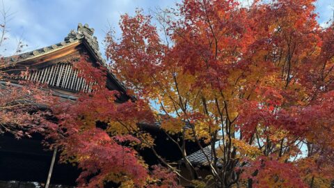 ｢老いと死｣におびえる52歳に住職が贈った金言 | リーダーシップ・教養・資格・スキル | 東洋経済オンライン