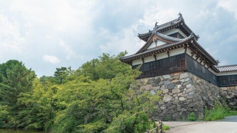 ｢豊臣兄弟！｣の秀長､冷酷な兄の隣で生き残った訳 | リーダーシップ・教養・資格・スキル | 東洋経済オンライン