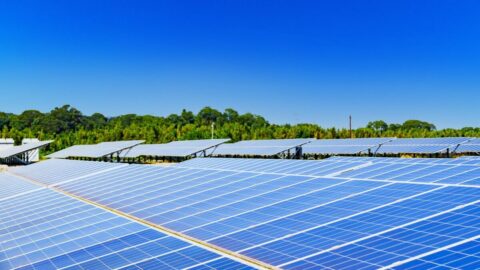 高市政権｢メガソーラー支援廃止｣の不可解な理屈 | 政策 | 東洋経済オンライン