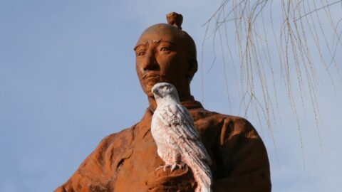 豊臣秀吉が織田信長に気に入られた本当の理由 | 歴史 | 東洋経済オンライン