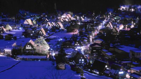 台湾の旧正月､人気な日本旅行が｢熊｣で異変？ | 旅行 | 東洋経済オンライン