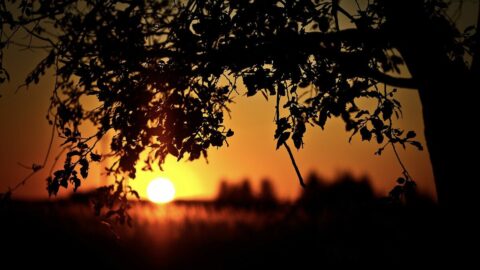 現代も古代も同じ。祖先より｢進化した｣は錯覚 | リーダーシップ・教養・資格・スキル | 東洋経済オンライン