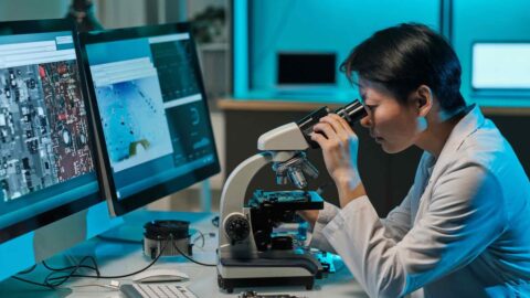 ｢テクノロジーで人間の能力は衰えた｣はウソだ | 経済学 | 東洋経済オンライン