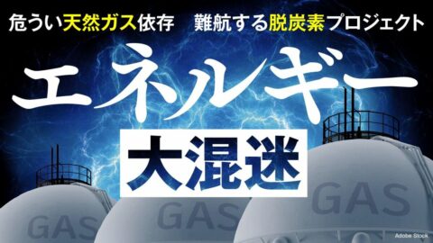 脱炭素から安定供給の危機へ｢エネルギー大混迷｣ | 最新の週刊東洋経済 | 東洋経済オンライン