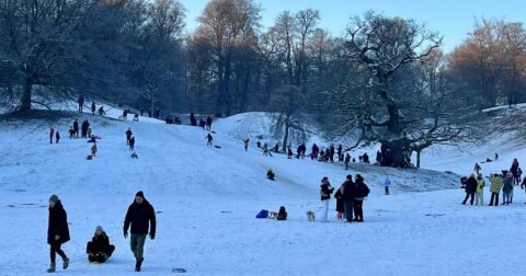「え、これで働き過ぎ？」短時間労働の国デンマーク人が考える「妥当な労働時間」とは – 第3の時間 デンマークで学んだ、短く働き、人生を豊かに変える時間術