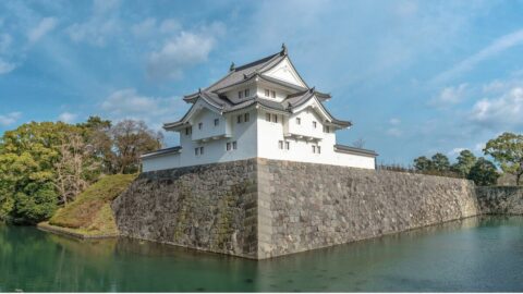 230年駿河に君臨｢今川家｣将軍に次ぐ権勢の凄さ | 秀吉を天下人にした男、豊臣秀長の実像 | 東洋経済オンライン