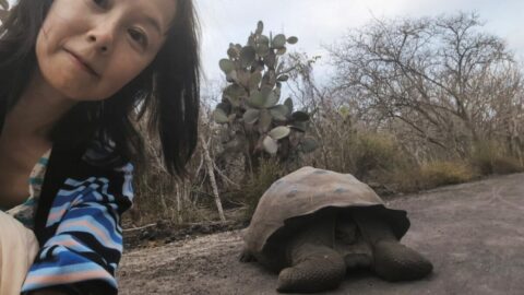 ガラパゴス諸島訪問で考えた日本のガラパゴス化 | シン・世界一周～人生後半、日本を学びなおす旅 | 東洋経済オンライン