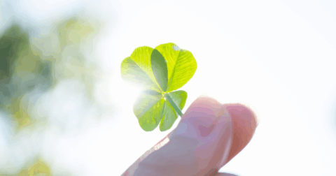 同じ歳でも、「若く見える人」がやっている習慣・ベスト1 – とっぱらう