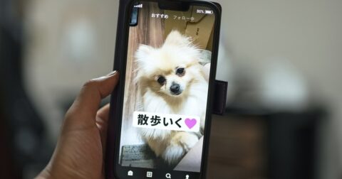 TikTokでショート動画を見続けた人の「脳」に起こること – ニュースな本