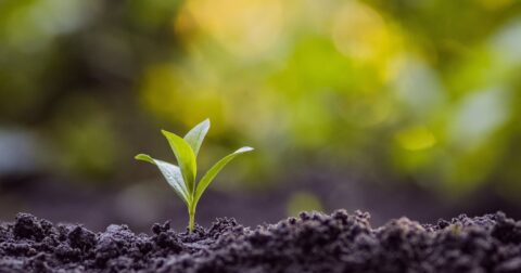 「やりたいことがわからない」症候群 – 自分に自信が持てません