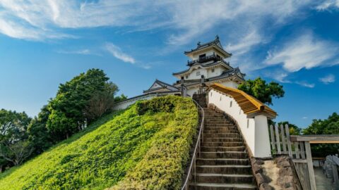 桶狭間の戦い後の”栄枯盛衰”見届けた意外な人物 | 秀吉を天下人にした男、豊臣秀長の実像 | 東洋経済オンライン