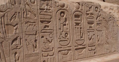 頑張る人ほど失敗する…言語学者が教える「外国語習得の最短ルート」 – ニュースな本