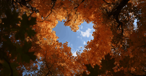 【精神科医が教える】どん底からでも「希望」が見える逆転の思考法 – 精神科医Tomyが教える　１秒で不安が吹き飛ぶ言葉