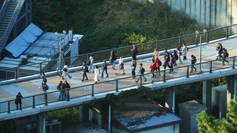 俵万智｢今は写真･動画ではなく”言葉の時代”｣ | 読書 | 東洋経済オンライン