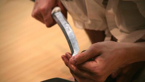 ｢豊臣兄弟｣が隠した”秘密の兄弟”の哀れな末路 | 歴史 | 東洋経済オンライン