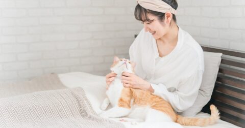 「肉＝Bl」「水＝Aliloo」…130年前の“猫語辞書”をバカバカしいと切り捨てられないワケ – ニュースな本