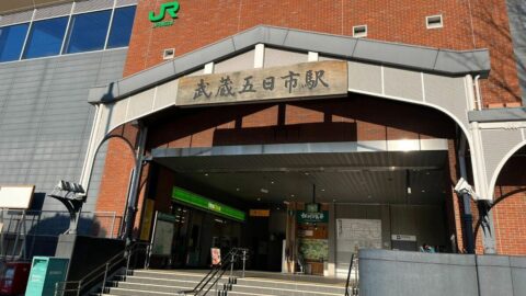 映画｢クスノキの番人｣樹高40mの”神木”は実在？ | “聖地”巡礼 あの名作の舞台地を訪ねて | 東洋経済オンライン