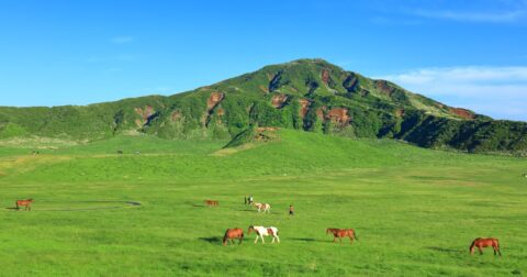 ご当地キャラ認知度ランキング2025！2位千葉県、1位は？ – 日本全国ご当地ランキング