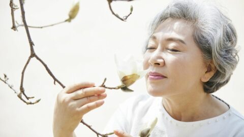 認知症予防にも効く! においを｢嗅ぐ力｣の鍛え方 | 健康 | 東洋経済オンライン