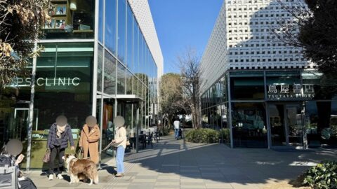 代官山｢やや衰退も美しい街｣作った2施設の正体 | 商業施設で変わった街 | 東洋経済オンライン