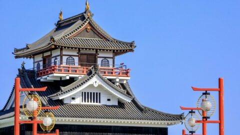 ｢豊臣兄弟｣が仕えた信長｢弟殺し｣で使った作戦 | 秀吉を天下人にした男、豊臣秀長の実像 | 東洋経済オンライン