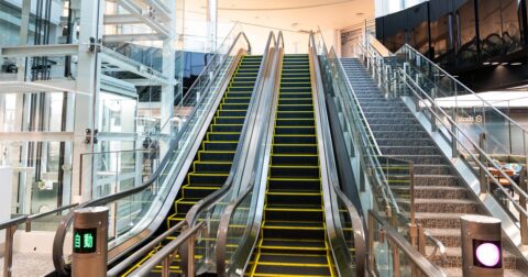 なぜかのぞきたくなる…天王寺動物園の「片隅の穴」から見える、思わずニヤリとしてしまうモノ – ニュースな本