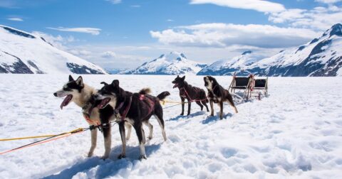 「なんでこんなこと考えてるんだ？」野垂れ死に寸前の北極徒歩旅行を続ける探検家が思わず“ゾッとした瞬間” – ニュースな本