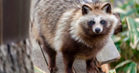 大阪の「扉が重すぎる居酒屋」になぜ客が集まる…貼り紙に書かれた「巧みなひと言」【写真付き】 – ニュースな本