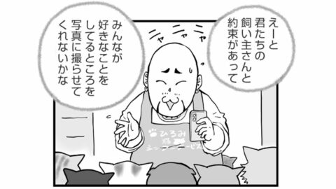 預かった｢7匹の猫｣に翻弄される男の”幸福な一日” | ひろみ猫シッターサービス | 東洋経済オンライン