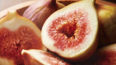 新しい資産形成法？｢農業で稼ぐ｣夢と現実 | リーダーシップ・教養・資格・スキル | 東洋経済オンライン