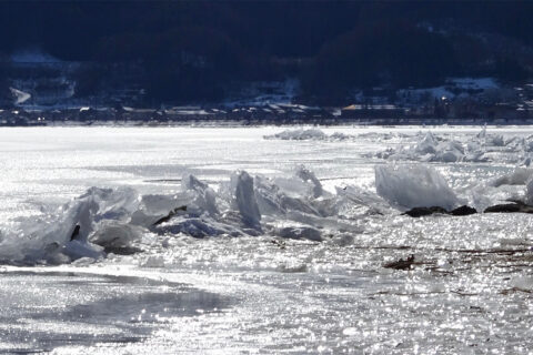 冬の諏訪湖で見られる氷の山脈「御神渡り（おみわたり）」。近年は珍しい現象に