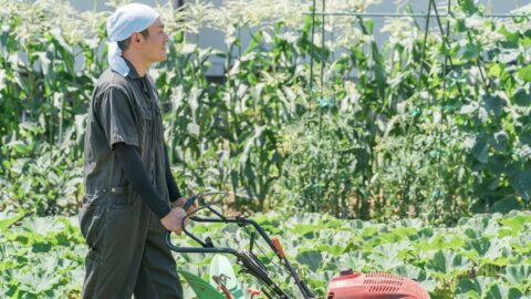 ゼロから始める｢小規模農家｣基本ガイド | リーダーシップ・教養・資格・スキル | 東洋経済オンライン