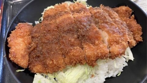 資さんうどん｢意外な人気メニュー｣の底力 | 出張なのに、チェーン店ですか？ | 東洋経済オンライン