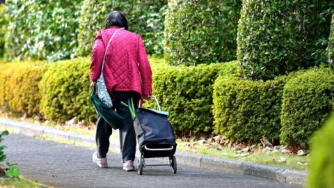 【医師解説】健康寿命を延ばす長寿菌を殺す食事 | 健康 | 東洋経済オンライン