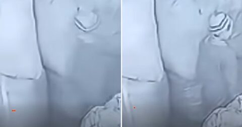 倉庫を徘徊する子どもの幽霊に戦慄！ 切なげに人形を見つめる姿の謎
