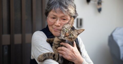 「ペットに遺産は残せない」でも守れる…殺処分を防ぐ“たった1つの方法”とは？ – ぶっちゃけ相続「手続大全」【増補改訂版】