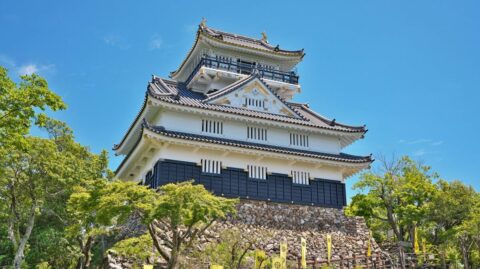 信長勝利の稲葉攻め､重臣の裏切りで斎藤は没落 | 歴史 | 東洋経済オンライン