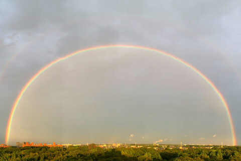 実は虹は丸い！ 完全な円形の虹にはどうやったら出合える？