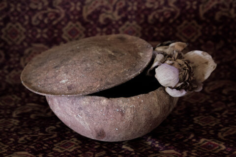 【Masayo’s Style】料理家・三枝政代さんが綴る「 暮らしの遊び心」3月～白鳳の土～