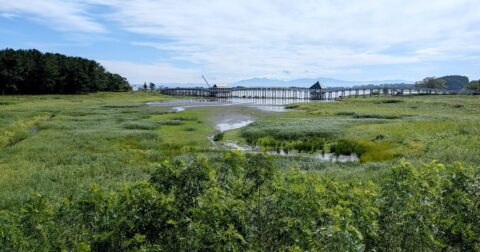 故郷・青森にUターンして郷土愛が爆発！30代女性が一から作った「住民の拠点」とは – 親と子の「就活最前線」