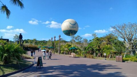 確率30％以下｢ジャングリアの気球｣乗った感想 | 肉体派ライターのガチ検証 | 東洋経済オンライン