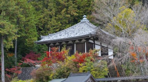 ｢足利襲撃｣信長が文句言う馬借を殺さなかった訳 | 歴史 | 東洋経済オンライン