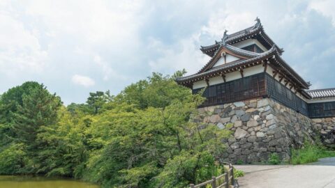 豊臣兄弟でも大暴れ？信長も呆れた松永久秀の罪 | 秀吉を天下人にした男、豊臣秀長の実像 | 東洋経済オンライン