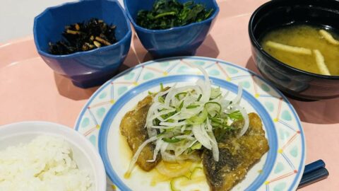 大学生の一人暮らし｢食生活｣の不安解消するもの | 大学受験のリアル | 東洋経済オンライン